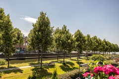 Potbeker 50, 5432 MK Cuijk - 12.jpg
