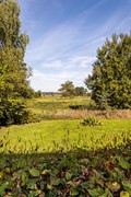 Dukenburg 1, 6562 KP Groesbeek - 62.jpg