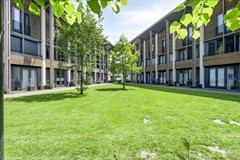08656788_37.jpg