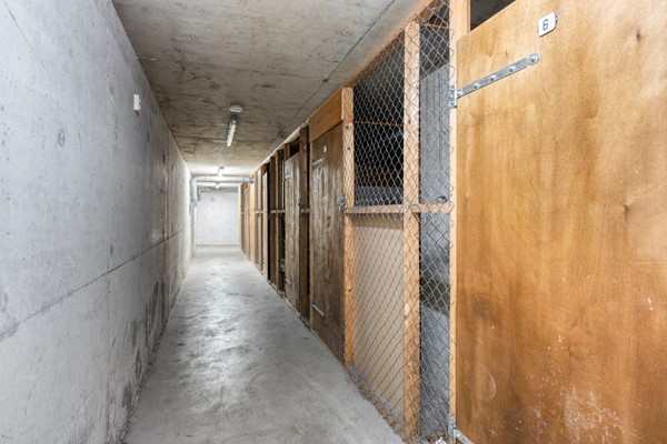 Medium property photo - Boschdijk 239a, 5612 HC Eindhoven