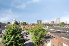 08667537_20.jpg