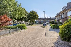 08689540_28.jpg