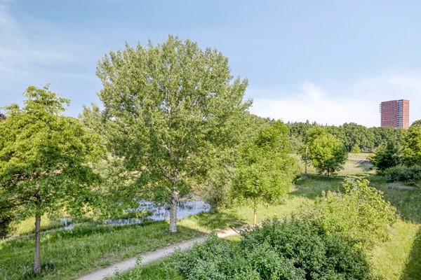 Medium property photo - Grasbaan 128, 5658 ER Eindhoven