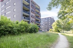 08719795_33.jpg