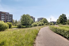 08719795_34.jpg