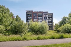 08719795_35.jpg