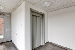 08884041_7.jpg