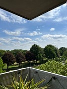 08884041_37.jpg