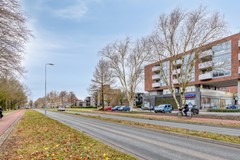 08884041_43.jpg