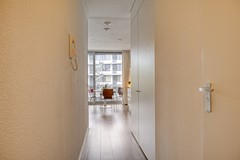 08965974_7.jpg