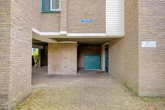 08986078_6.jpg