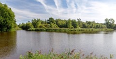 09038936_35.jpg