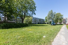 _MG_3104.jpg