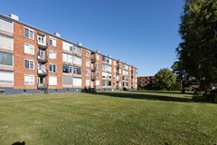 _MG_3106.jpg