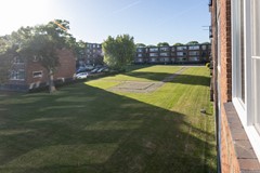 _MG_3204.jpg