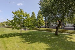 _MG_3621.jpg