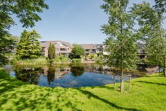 esdoorn_17-35.jpg