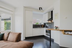 esdoorn_17-12.jpg