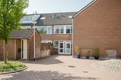 esdoorn_17-2.jpg