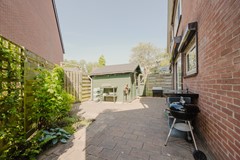 esdoorn_17-25.jpg