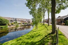 esdoorn_17-40.jpg