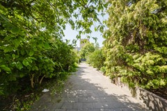 IJsbloempad 11-7.jpg