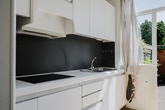 IJsbloempad 11-20.jpg