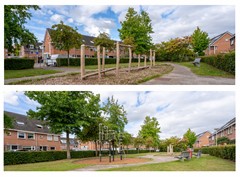 omgeving 3.jpg
