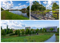 omgeving 2.jpg