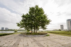 Maasboulevard-10.jpg