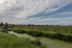 _MG_5039.jpg