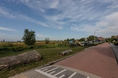 _MG_5041.jpg