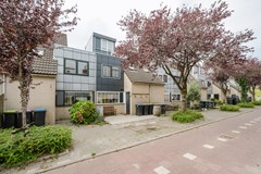 Haya van someren-downerpad 37-13.jpg