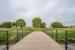 Haya van someren-downerpad 37-7.jpg