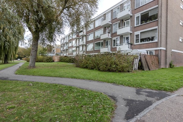 Medium property photo - Raadhuisstraat 25, 3181 CH Rozenburg