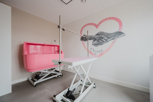 Medium property photo - Schipperskade 107, 3201 MW Spijkenisse