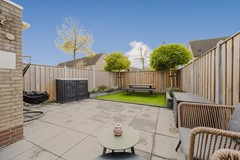 Vingerhoedskruid 14-14.jpg