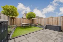 Vingerhoedskruid 14-17.jpg