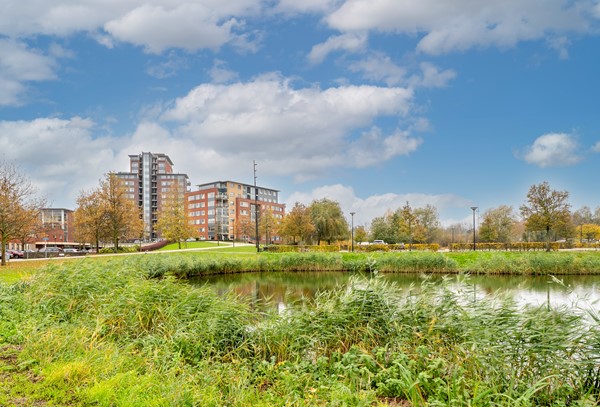 Medium property photo - Thetfordstraat 134, 3203 LJ Spijkenisse