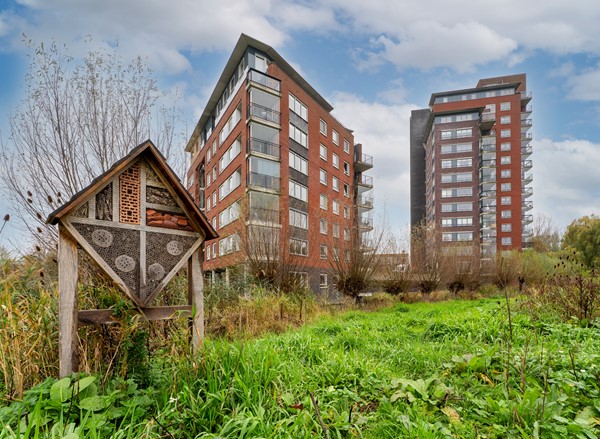 Medium property photo - Thetfordstraat 134, 3203 LJ Spijkenisse