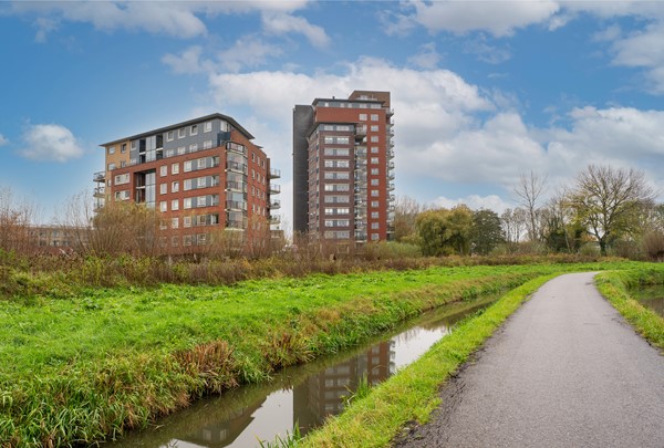 Medium property photo - Thetfordstraat 134, 3203 LJ Spijkenisse