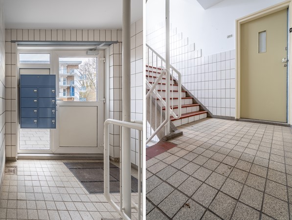 Medium property photo - Socratesstraat 205, 3076 BV Rotterdam