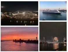 IMG_1250.jpg