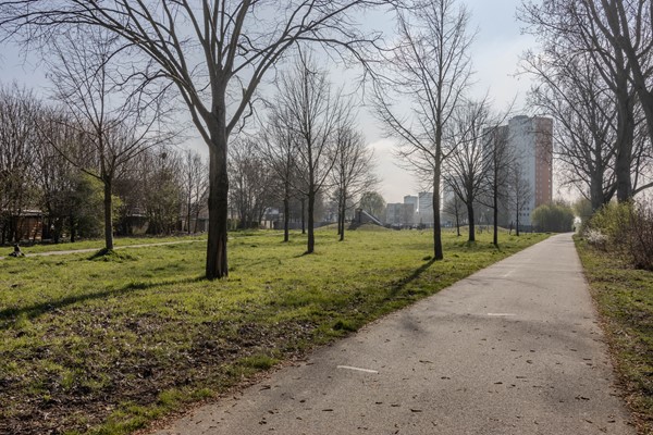 Medium property photo - Geepstraat 37, 3192 AB Hoogvliet Rotterdam