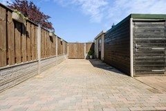 amazonestraat 55-29_(2).jpg