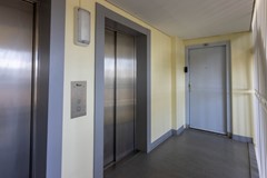 _MG_8252 - kopie - kopie.jpg