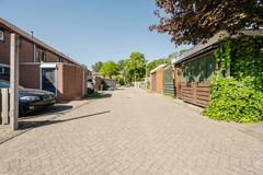 Parelgras 45-2.jpg
