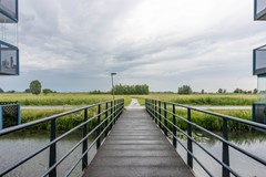 _MG_9407.jpg