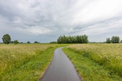 _MG_9403.jpg