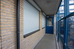 _MG_9393.jpg